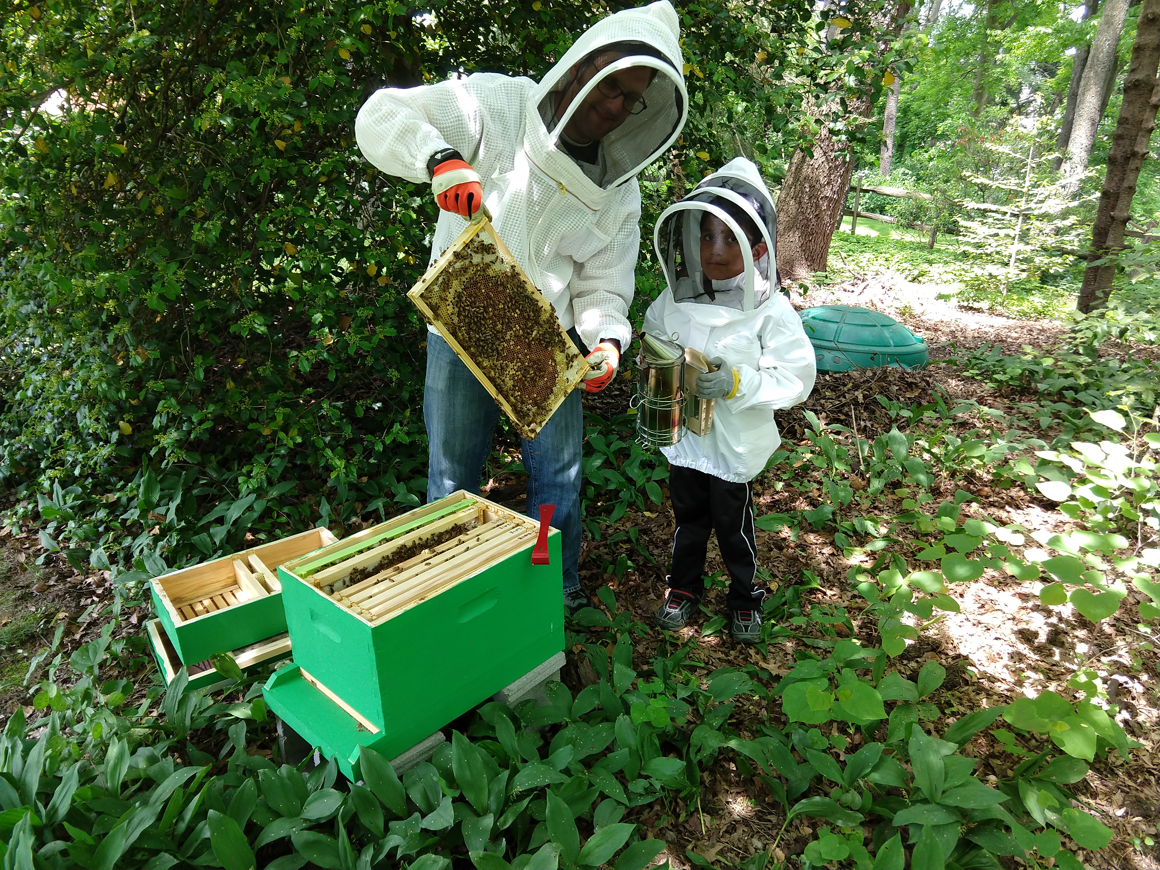 Second Brood Boxes